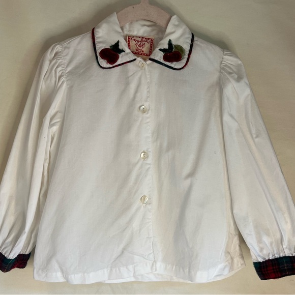 EUC Cornelloki Fall Apple Dress Size 2 - Picture 5 of 7